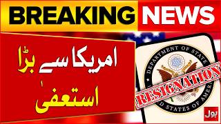 Tulsi Gabbard resigns as Trump's top US intelligence official | Bol News