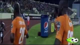 أهداف مباراة الكاميرون و كوت ديفوار | كأس الامم الأفريقية 2015 الجولة الثالثة HD