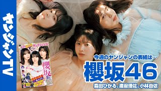 【公式】櫻坂46から１stシングル表題曲のフロントを務める美女３人が登場!! 週刊ヤングジャンプ2号 12月10日発売！