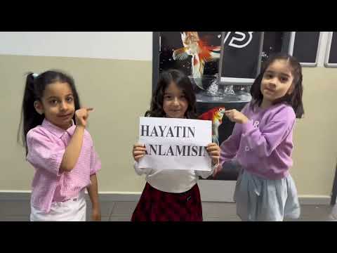 Feyyaz Berker İlkokulu 1-H Sınıfı Anneler Günü Kutlama Videosu