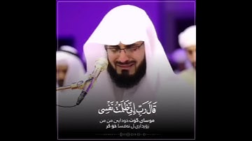 قال رب إني ظلمت نفسى فاغفر لى فغفر له بصوت رعد محمد الكردي 😇💜 حالات واتس اب دينية سورة القصص
