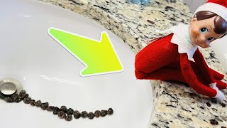 ELF WENT POOP!