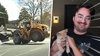 Bigpuffer Shows His New Cats and Reacts to Daily Dose Memes