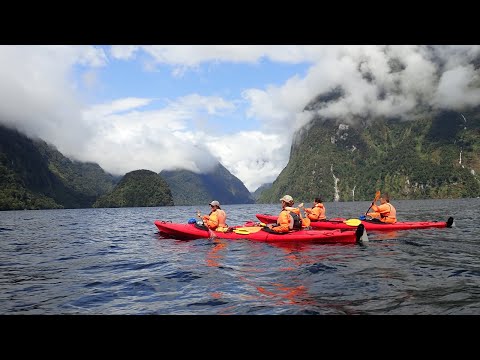 Video: Brskanje Po Južnem Robu Sveta: Fiordland, Nova Zelandija - Matador Network