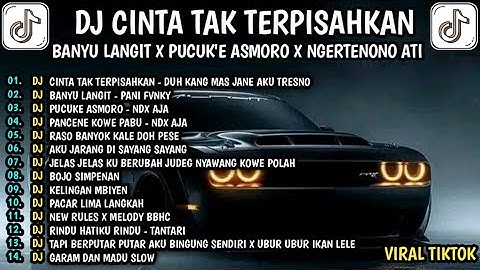 DJ CINTA TAK TERPISAHKAN X BANYU LANGIT X PUCUK
