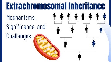 Extrachromosomal Inheritance: Characteristics, Types, Modes, Significance, Challenges - Genetics 101