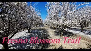 Fresno/Clovis Blossom Trail