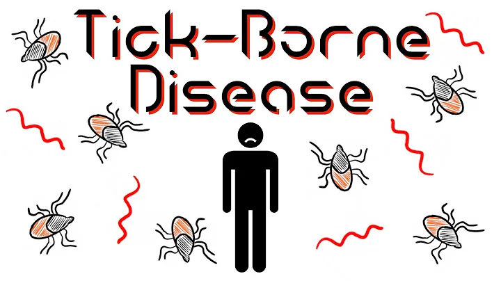 How the Tick Immune System Works
