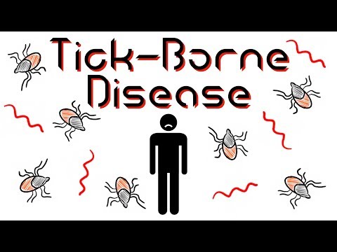 Weird Way Lyme Disease Bugs Avoid Defense Mechanisms