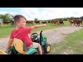 Using tractors and hay to help lost cows  tractors for kids