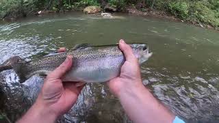 Black Hills Trip Day 1, Part 2- Using Egg Fly, Bait Eggs, and Worms to Catch Creek Trout