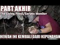 INILAH EARLESS MONITOR HEWAN YANG KEMBALI DARI KEPUNAHAN/PART AKHIR EXPEDISI BATAS NEGARA