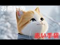 【感動・癒し】お揃いの赤い手袋😸😸✨⛄️
