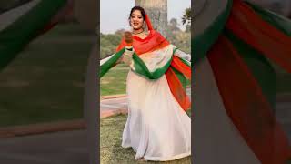 Sanam Mera Hindustaan