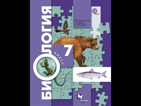 § 27 Внутреннее строение птиц