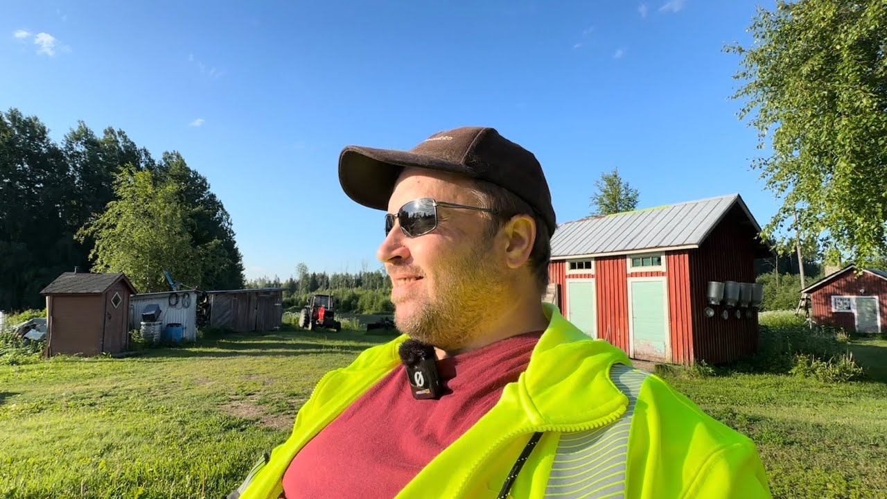 Syy ja seuraus!!! Sekä nurmikkoakin vähän…