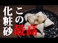 【多肉植物】ハオルチアの化粧砂に新たな素材を採用！【人気観葉植物ハオルシアの育て方】