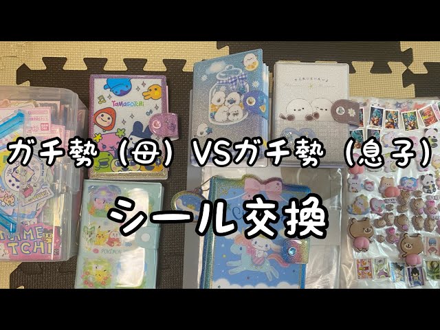 【NO ASMR】ガチ勢のシール交換‼️