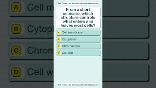 ATI TEAS Test Florida Study Guide | What to Review Before Test Day #teaspracticetest