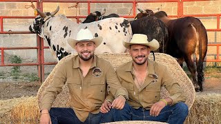 🏟️ VIOLENTOS Y PELIGROSOS🇲🇽 Rancho La Primavera De Los Hnos Rea En Pilcaya Gro.2026, 