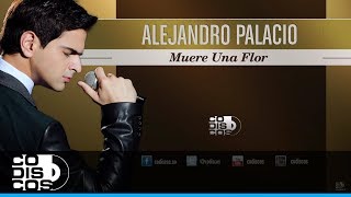 Muere Una Flor, Alejandro Palacio - Audio chords