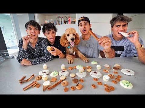 DOG vs HUMAN FOOD CHALLENGE!