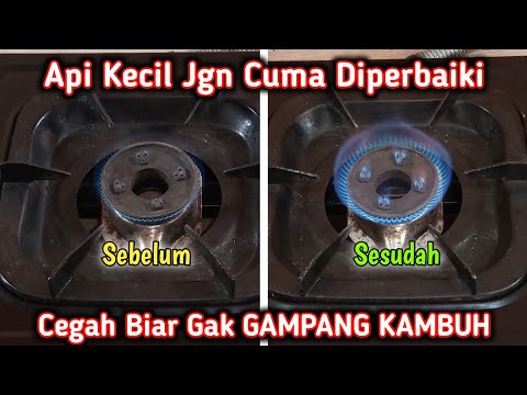 Video: Cara Mematikan Kosmos - Memetik Bunga Kosmos yang Memudar