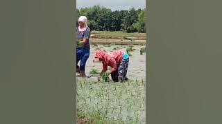 video 110acc57 80c8 4443 956d c4f7c0a6dca6 1680795769 1