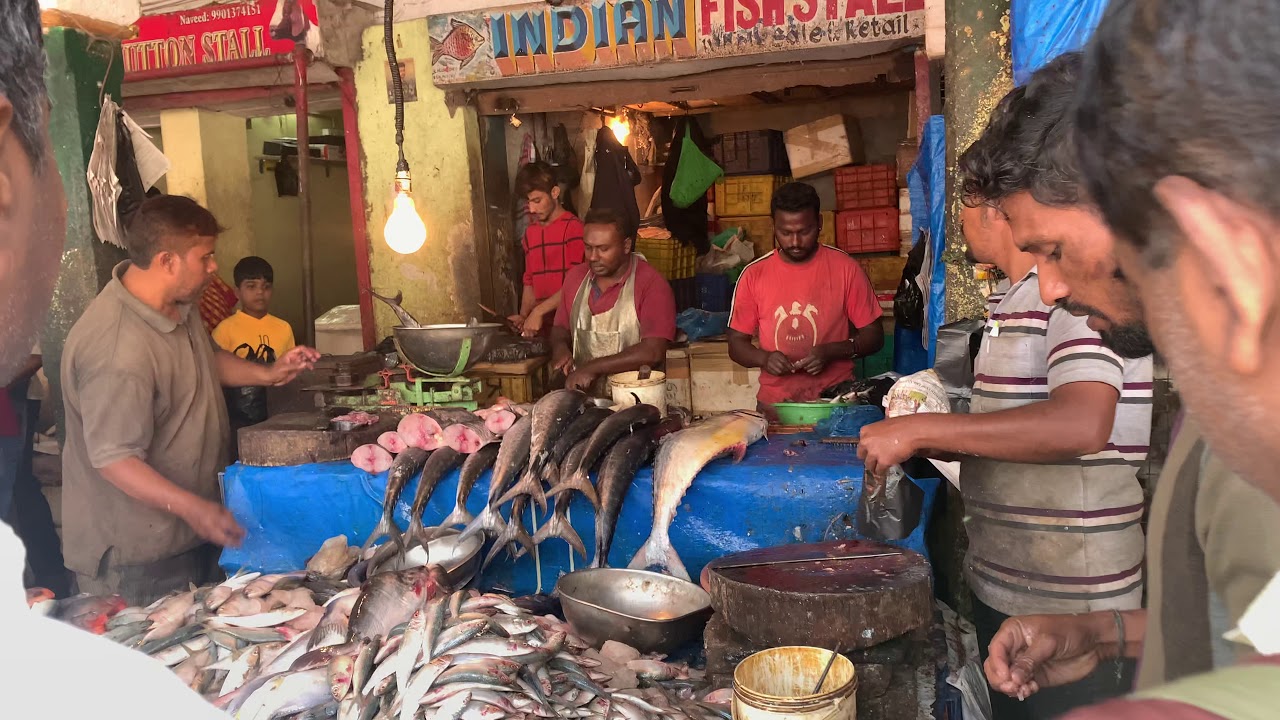 Fish Market In Bangalore Near Halasuru Metro YouTube Fish Market In Bangalore Near Halasuru Metro YouTube