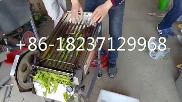 Electric Green Pea Peeler Machine/Stainless steel green pea sheller machine shelling beans