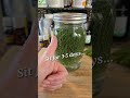 My Experience with Pine Needle Sprite