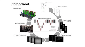ChronoRoot: Video Abstract