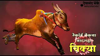 KING & PUNE CITY ROCKET = CHIKYA FAKDYA
