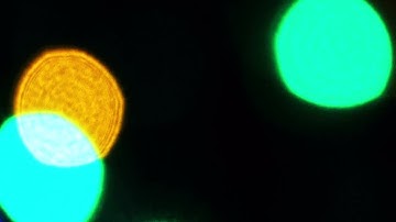 Bokeh Lights Stock Video