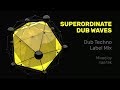 Superordinate Dub Waves | Dub Techno Label Mixed by nae:tek