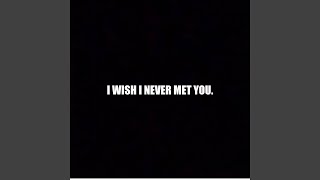 I Wish I Never Met You - Domo Wilson