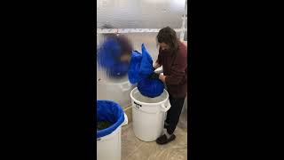 Cannabis Trim Bubble Hash Wash 1