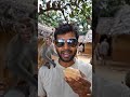 Untitled कितनी बेहतरीन वीडियो है देखोबंदरों के साथ #childrenstories #amritkaal