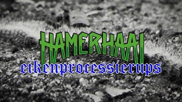 Hamerhaai - Eikenprocessierups (official video)