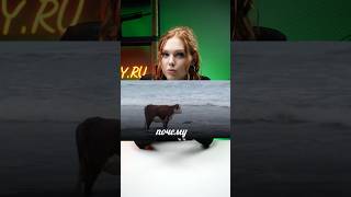 ПОЧЕМУ ВОЕННЫЕ ЦЕЛЯТСЯ ДВУМЯ ГЛАЗАМИ? #тепловизор #охота #тепловизордляохоты #тактика #спорт