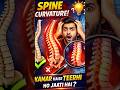 “Part 2 “Chalo 4 spine curves dekhte hain:#anatomy