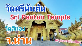 วัดศรีพันต้น จ.น่าน Sri Panton Temple, Nan Province#น่าน #nan #เที่ยวน่าน #ไหว้พระ #วัดพระใหญ่