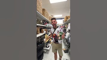 Who did this? #hellokitty #hellokittyhunt #couple #sanrio #shopwithme #burlington #tjmaxx #viral