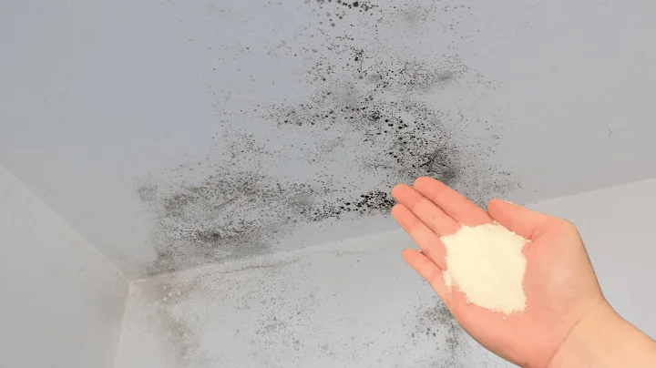 Moisture Disappears for Good! This Homemade Mold Remedy Really Works and Costs Pennies