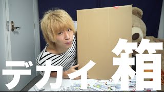 デカイ箱と今後のはじめしゃちょー