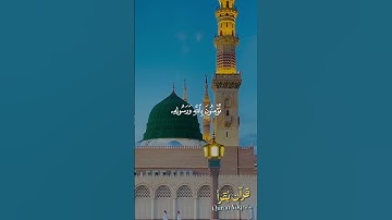 يا إيها الذين آمنوا #سورة_الصف #القرآن_الكريم #فارس_عباد #اكسبلور #راحة_نفسية #لايك #تلاوة_خاشعة