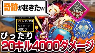 世界1位綺麗な20キル4000ダメージ【APEX LEGENDS】