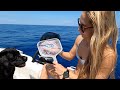 Scooping up RARE Fish In Middle of OCEAN!