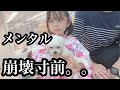 新しい家族を迎えに行ったけど・・悩みが尽きない・・