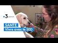 Vivre avec le syndrome dehlersdanlos sed